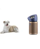 DYSON BP04 Air Purifier, Large Area Odor And Allergen Removal, Formaldehyde Elimination, Filters Pollen And Pet Hair, Medical Grade, Pet-Friendly Certified, [Blue-Gold]