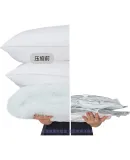 Baseus Inflatable Pump, Electric Wireless Air Pump, Outdoor Camping Light, Air Mattress Bedding, Swimming Ring, Inflation And Deflation Vacuum Pump