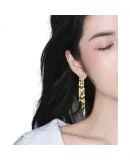 Qlady Long Tassel Earrings for Women, 2026 New Year Elegant High-End Ear Jewelry, Niche Design Stud Earrings, Birthday Gift