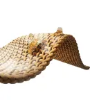 Mijia Xiaomi Handheld Garment Steamer 2, Foldable Garment Steamer, National Day Travel Steam Iron, Household Portable, Sterilizes And Removes Mites, Wrinkle Removal MJGTJ02LF