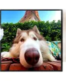 SAMSUNG HW-LS60D/XZ Music Frame Wall Art TV Speaker, Wireless Dolby Surround Sound, Smart APP Control