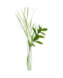 3M Transparent Invisible Strong Double-Sided Tape, Heat And Cold Resistant, Waterproof, Suitable for Glass/tiles And Other Materials, Width 19mm, Length 4m, Thickness 1mm