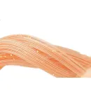 XTEP Neck Gaiter Cycling Face Mask, Warm, Windproof, Dustproof, Winter Outdoor Motorcycle Balaclava Face Cover, Scarf Hat for Men And Wome