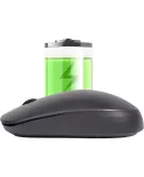 Lenovo Wireless Mouse, Office Mouse, Portable Mouse, Laptop Mouse, Computer Mouse, M100 Black, with 2.4G Wireless Receiver