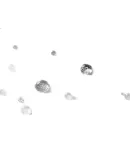 Adidas 550 Down Commuter Windproof Warm Duck down Jacket Puffer Coat Women's Winter Hooded XL Size