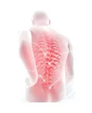 Under Armour Support Waist Belt for Sports And Fitness, for Men And Women with Herniated Discs, Medical Back Pain, Muscle Strain, Running Waist Support Belt, Black, Size L