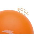 ANTA Silent Basketball No.5 Silent Basketball for Children and Teenagers Indoor Elastic Ball Toy Patting Ball Household Noiseless