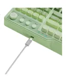 HP K360 Wired Keyboard, Gradient Color Keycaps, RGB Mechanical Feel, Ergonomic Design, Office And Gaming Universal, League of Legends, E-Sports Gaming Keyboard, Green, 98-Key Layout