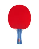 DOUBLE FISH Table Tennis Racket Set, Straight Handle And Penhold Grip, Two Paddles, Recreational Type, 2 Pieces, 216A