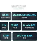 HP (HP) 32GB DDR5 5600MHz Desktop Memory Module X2 Series (C46) Original Chips AI Computer Accessory Compatible with Black Myth: Wukong