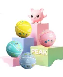 Peak Kids Basketball No.3 Youth Children's Toy Wear-Resistant Kindergarten Ball No.34 Pat Ball for Ages 3-6 Small Size 3 Ball