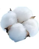 Disney Kids Class A Pure Cotton Autumn Thermal Underwear Set Full Print Boys Student Warm Innerwear Space Mickey 140