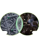 BOSCH Activated Carbon Air Conditioning Filter Car Air Conditioning Filter 5718 Compatible with Hyundai IX35/Tucson/Kia Cerato And Others