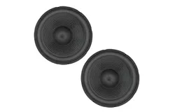 5 Core 12 Inch 2pcs Subwoofers&comma; Car Audio Subwoofer&comma; Premium Woofer High Power Bass Surround Sound