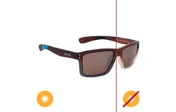 Solize Surfers Paradise - Brown to Ebony by DelSol for Unisex - 1 Pc Sunglasses