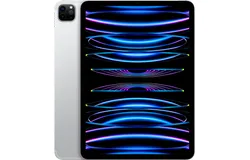 Apple - 11-Inch iPad Pro with Wi-Fi - 2TB - Silver-MNXN3LL&sol;A