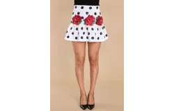 Queen Of Sparkles Polka Dot Skirt With Red Flowers In White