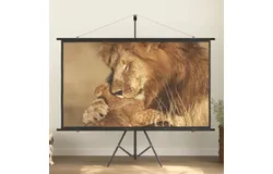 Projection Screen with Tripod 84" 16&colon;9