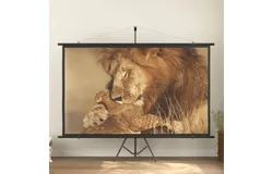 Projection Screen with Tripod 108" 16&colon;9