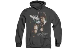 Harry Potter Harry And Sirius Adult Heather Hoodie &sol; Hooded Sweatshirt