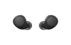 Sony - WF-C510 Truly Wireless Earbuds - Black