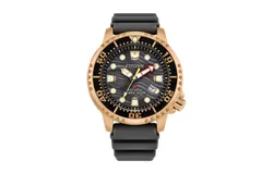 CITIZEN Watch BN0163-00H PROMASTER DIVE Unisex