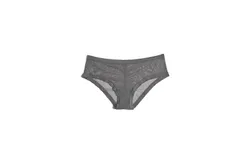 Blush Lingerie Mesh Lace Trim Hipster Panty In Lunar