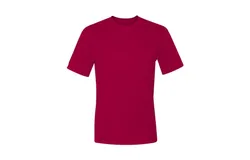Hanes Cool DRI Performance T-Shirt