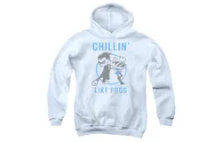 Teen Titans Go Like Pros Youth Pull Over Hoodie &sol; Hooded Sweatshirt