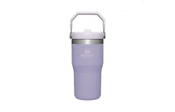 STANLEY 20oz Stainless Steel Vacuum Insulated Mug for Water&comma; Iced Tea or Coffee Purple New