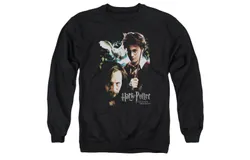 Harry Potter Harry And Sirius Adult Crewneck Sweatshirt