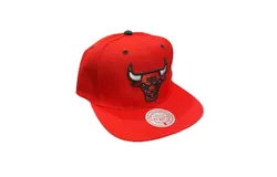 Mitchell & Ness Men&apos;s Nba The Champs Hwc Chicago Bulls Snapback Hat In Red