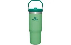 STANLEY IceFlow Stainless Steel Tumbler with Straw&comma; Vacuum Insulated Water Bottle for Home&comma; Office or Car&comma; Reusable Cup with Straw Leak Resistant Flip，30oz&comma;jadeGREEN
