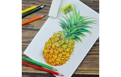 Tree Drawing Sketching Set&comma; colored pencils for adult coloring with graphite&comma; charcoal&comma; colored pencils with sharpener&comma; drawing pencils for Artists adults and Children 42 art supplies