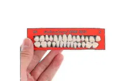 Set Of 28 Resi Denture Resin S