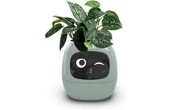 Smart Pet Planter Robot&colon; Cute Plant Care Guide with Emojis and Interactive Gestures Green