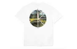 Polar Skate Co&period; Fill Logo Burnside 2084 T-Shirt In White