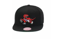 Mitchell & Ness Men&apos;s Nba Hwc Toronto Raptors Core Basic Snapback Cap In Black