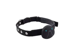 GPS pet locator&comma; WiFi locator dog cat cat locator&comma; smart pet tracker anti-lost
