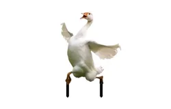 Goose Garden Stake Decor Cute Walking Goose Yard Art Decorative Stakes for Outdoor Garden Yard&comma; Holiday Ornaments Home Office Patio Lawn Yard &lpar;White&comma; 20cm&ast;30cm&rpar;