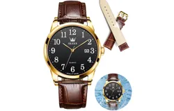 OLEVS Watch，Wrist Watch， Mens Watches， Watches for Men-Style C