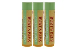Cucumber Mint Moisturizing Lip Balm by Burts Bees for Women - 0&period;15 oz Lip Balm - Pack of 3