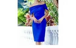 Frank Lyman 238119 In Electric Blue