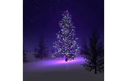 Colorful Firefly - Solar mini LED Christmas lights on Strings