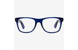 VITENZI Rho bifocals Sunglasses Tortoise