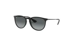 Original Ray Ban 0RB4171 622-T354 Erika Ladies Sunglasses
