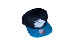 Mitchell & Ness Men&apos;s Nba Hwc Detroit Pistons Team Reflective Snapback Cap In Black&sol;teal