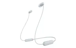 Blue internal wireless wi-c100 hearing systems