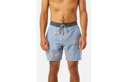 Katin Paradise Hybrid Trunk In Tradewinds Blue