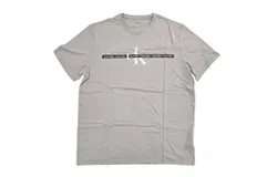 Calvin Klein Men&apos;s Logo Stripe T-Shirt In Ash